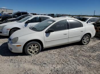  Salvage Dodge Neon