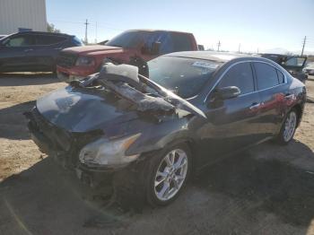  Salvage Nissan Maxima