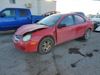  Salvage Dodge Neon