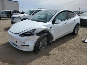  Salvage Tesla Model Y