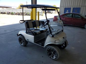  Salvage Evol Golf Cart