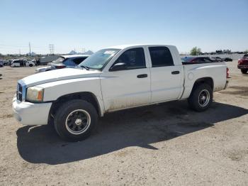  Salvage Dodge Dakota