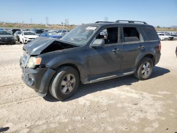  Salvage Ford Escape