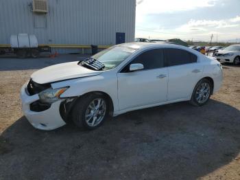  Salvage Nissan Maxima