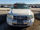 Ford Escape Limited Image 2