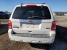 Ford Escape Limited Image 6