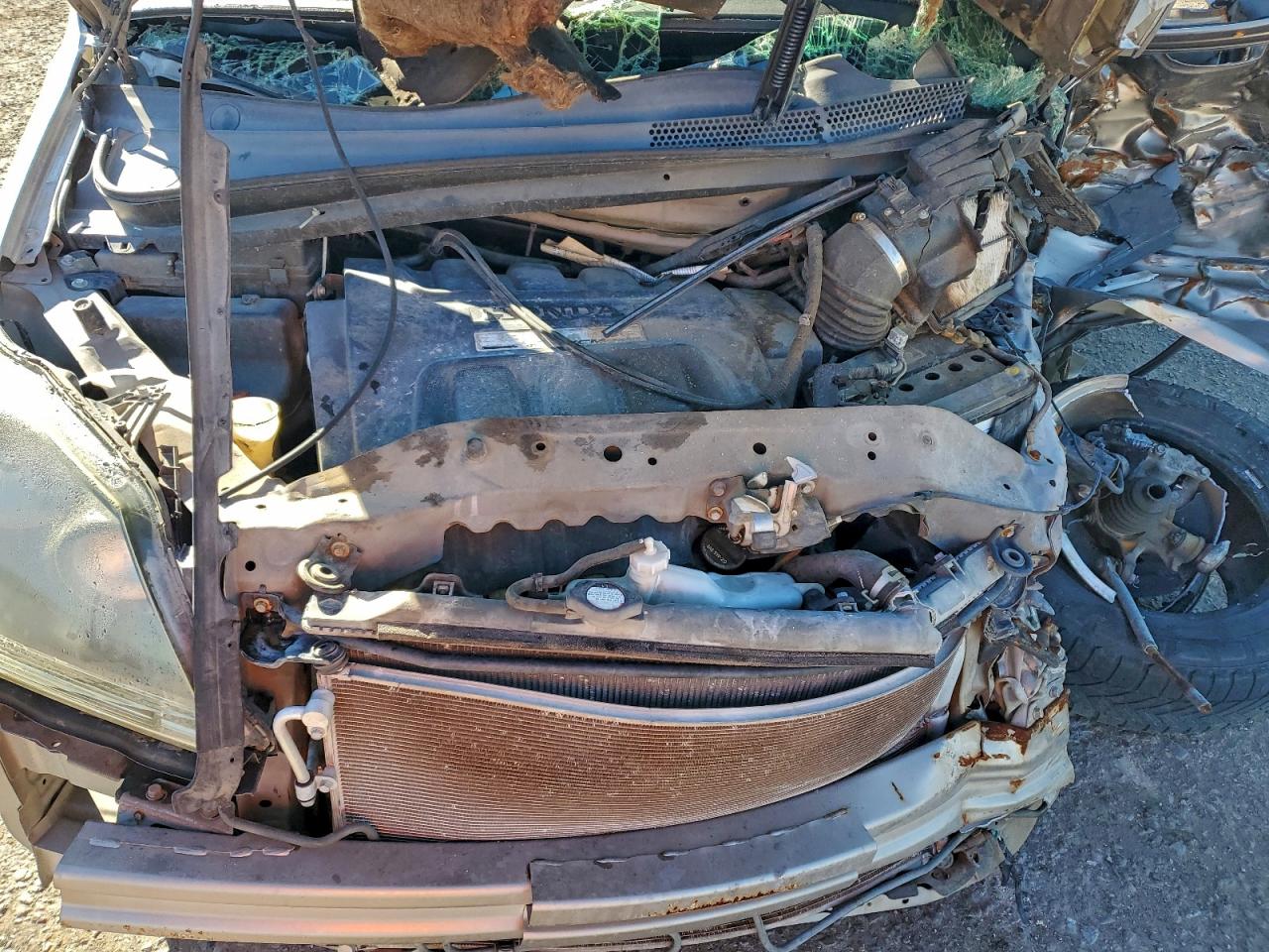 Honda Odyssey Exl Image 3