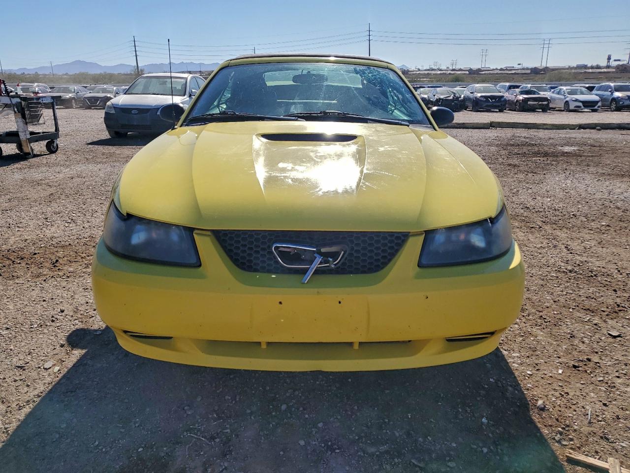 Ford Mustang Image 6