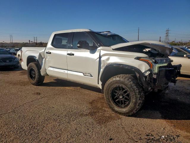 Toyota Tundra Crewmax Platinum Image 3