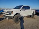 Ford F-150 Raptor Image 1