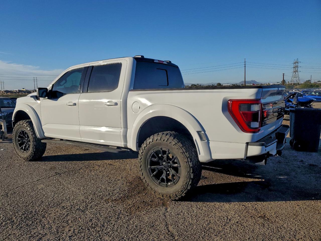 Ford F-150 Raptor Image 13