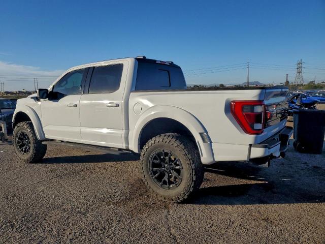 Ford F-150 Raptor Image 13