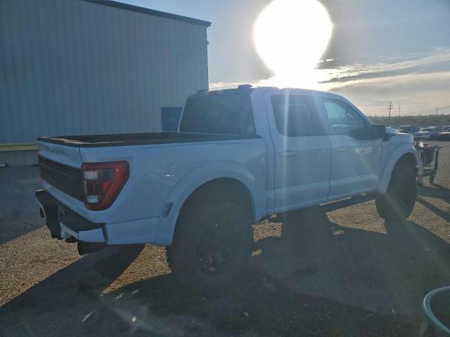 Ford F-150 Raptor Image 2