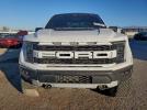 Ford F-150 Raptor Image 4
