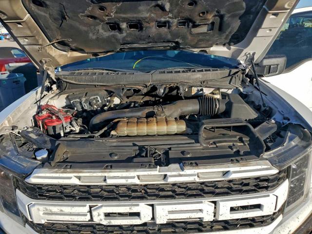 Ford F-150 Raptor Image 9