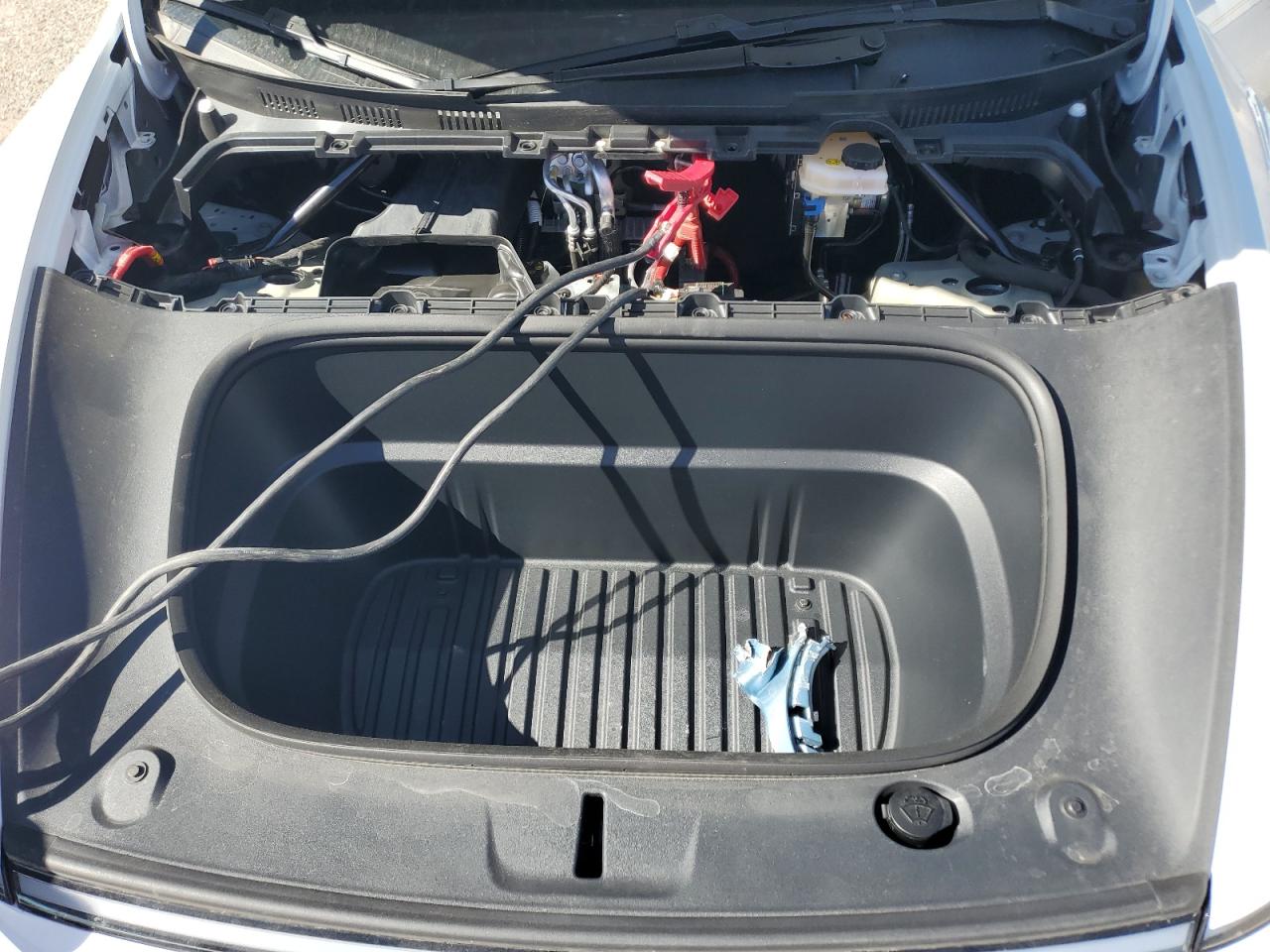 Tesla Model Y Image 7