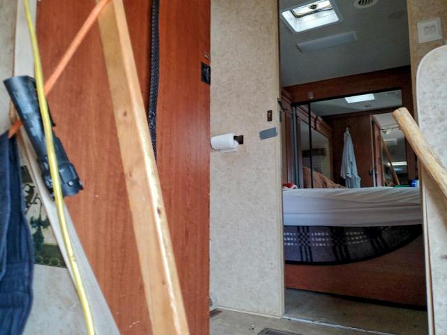 Arctic Fox Northwood Image 6