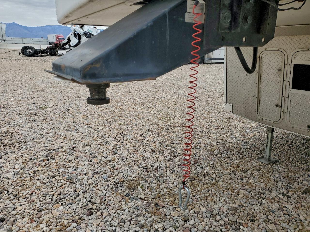 Arctic Fox Northwood Image 8